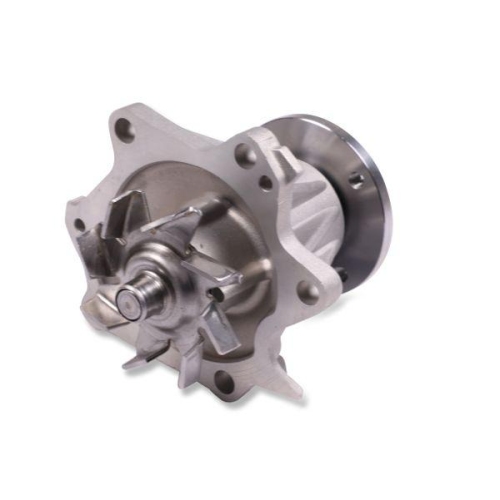 HEPU Wasserpumpe, Motork&uuml;hlung P745