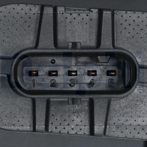 DELPHI Luftmassenmesser AF10669-12B1