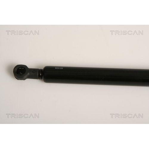 TRISCAN Gasfeder, Koffer-/Laderaum 8710 11231