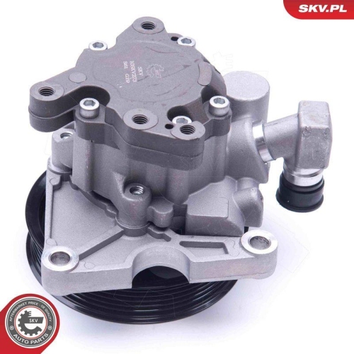 ESEN SKV Hydraulikpumpe, Lenkung 10SKV273