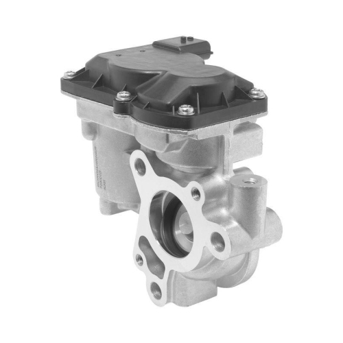 BorgWarner AGR-Ventil 729001D