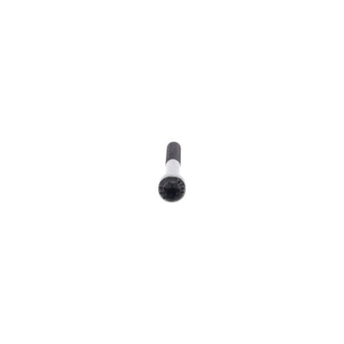 BOSCH Schraube F 002 D13 561