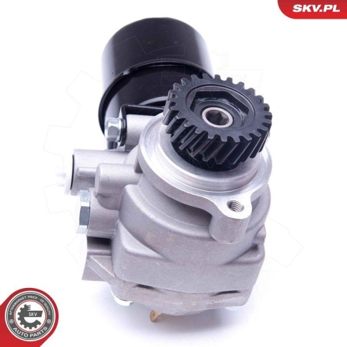 ESEN SKV Hydraulikpumpe, Lenkung 10SKV274