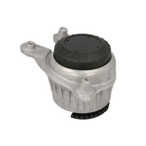 REINHOCH Lagerung, Motor RH11-3100