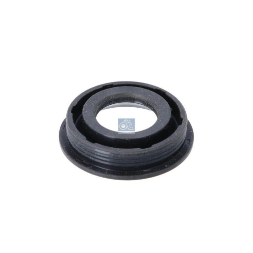 DT Spare Parts Dichtring, Kerzenschacht 11.10544