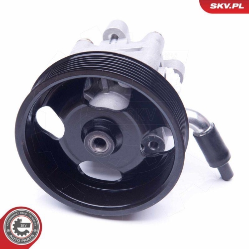 ESEN SKV Hydraulikpumpe, Lenkung 10SKV275