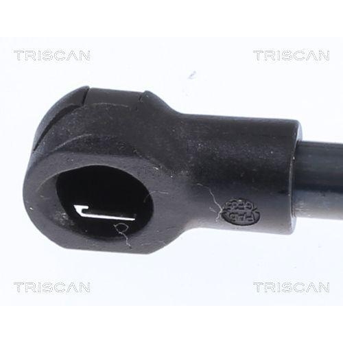 TRISCAN Gasfeder, Koffer-/Laderaum 8710 12207