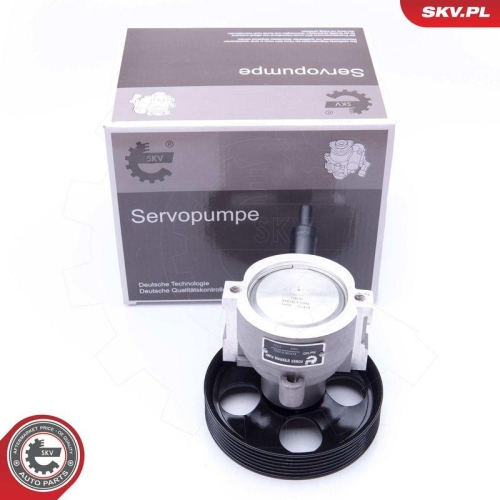 ESEN SKV Hydraulikpumpe, Lenkung 10SKV281