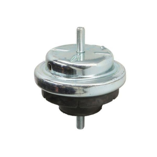 REINHOCH Lagerung, Motor RH11-5109