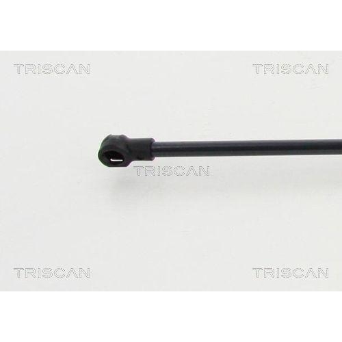 TRISCAN Gasfeder, Koffer-/Laderaum 8710 13281