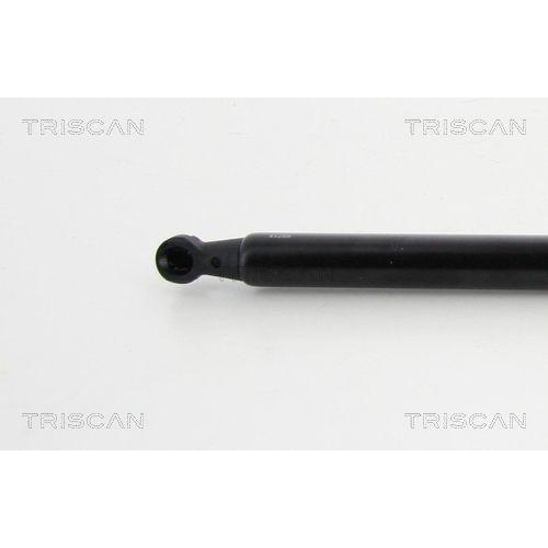 TRISCAN Gasfeder, Koffer-/Laderaum 8710 13285