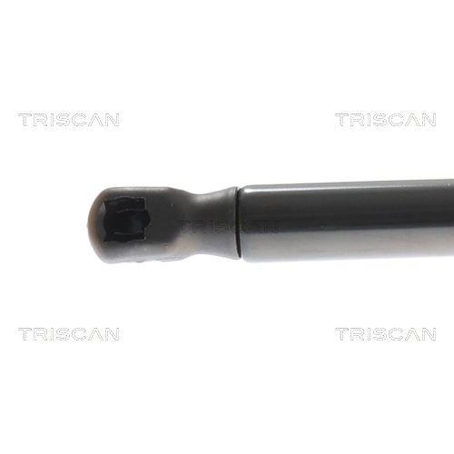 TRISCAN Gasfeder, Koffer-/Laderaum 8710 16309