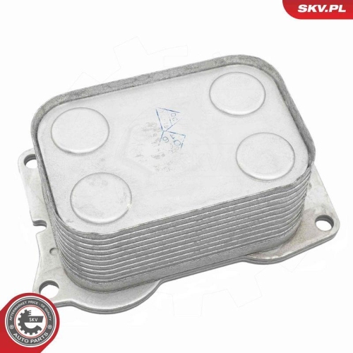 ESEN SKV &Ouml;lk&uuml;hler, Motor&ouml;l 31SKV382