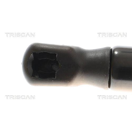 TRISCAN Gasfeder, Koffer-/Laderaum 8710 16310