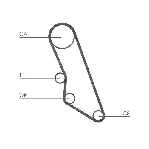 CONTINENTAL CTAM Zahnriemen CT865