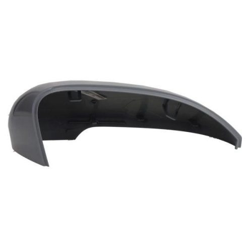BLIC Abdeckung, Außenspiegel 6102-01-2297331P