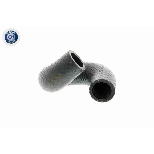 VAICO Kühlerschlauch Q+, Erstausrüsterqualität V20-1697