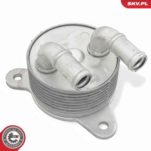 ESEN SKV &Ouml;lk&uuml;hler, Automatikgetriebe