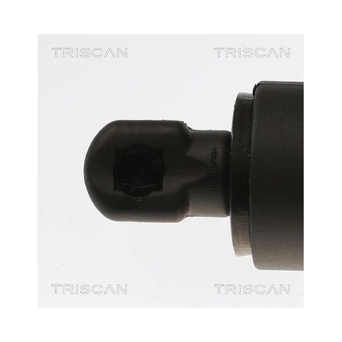 TRISCAN Gasfeder, Koffer-/Laderaum 8710 81200