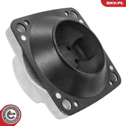 ESEN SKV Lagerung, Motor 75SKV004