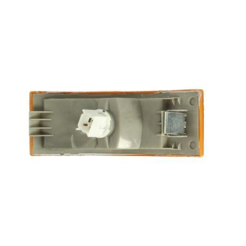 TRUCKLIGHT Blinkleuchte CL-VO004