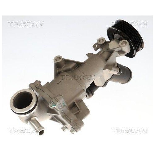 TRISCAN Wasserpumpe, Motork&uuml;hlung 8600 23106