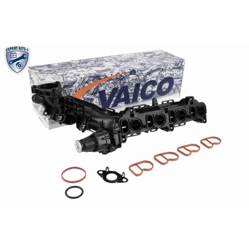 VAICO Saugrohrmodul EXPERT KITS + V20-4029