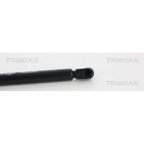TRISCAN Gasfeder, Koffer-/Laderaum 8710 16250