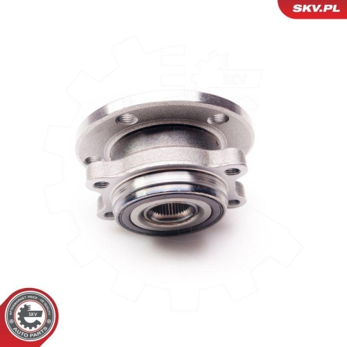 ESEN SKV Radlagersatz 29SKV010