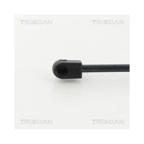 TRISCAN Gasfeder, Koffer-/Laderaum 8710 16259