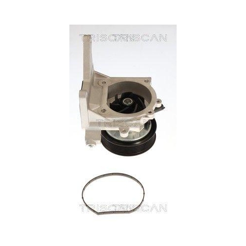 TRISCAN Wasserpumpe, Motork&uuml;hlung 8600 24062