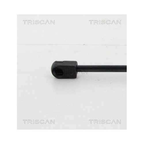 TRISCAN Gasfeder, Koffer-/Laderaum 8710 16260