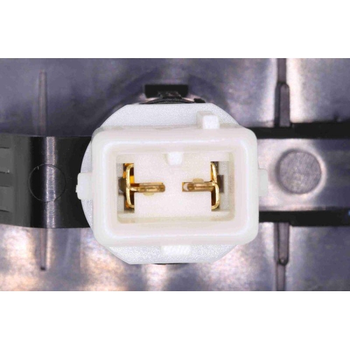 VEMO Blinkleuchte Green Mobility Parts V22-84-0008