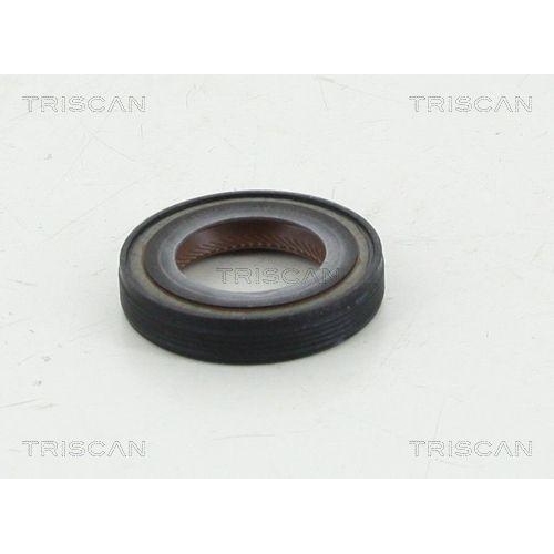 TRISCAN Wellendichtring, Differential 8550 10042