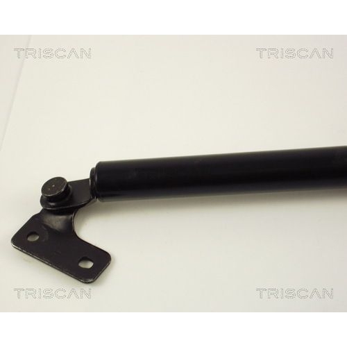 TRISCAN Gasfeder, Koffer-/Laderaum 8710 50218