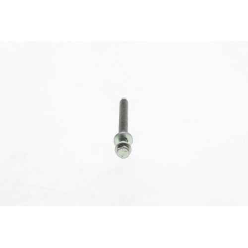 BOSCH Schraube F 002 D13 673