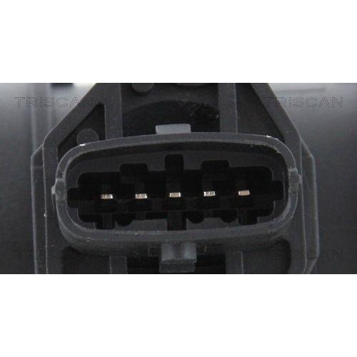TRISCAN Luftmassenmesser 8812 24002