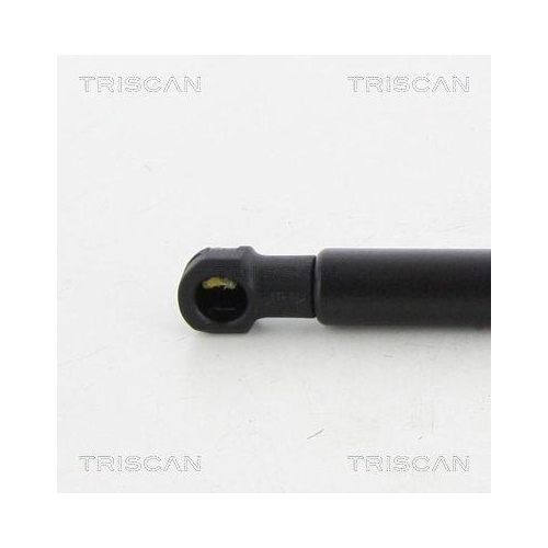 TRISCAN Gasfeder, Koffer-/Laderaum 8710 20203