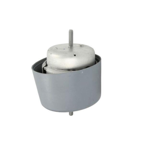 REINHOCH Lagerung, Motor RH11-0071