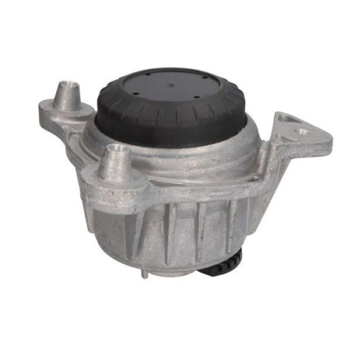 REINHOCH Lagerung, Motor RH11-3121