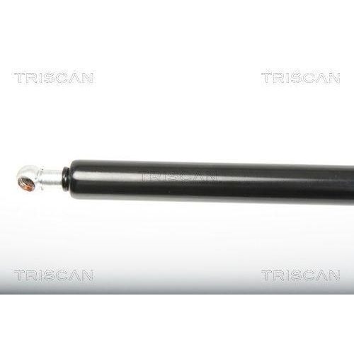 TRISCAN Gasfeder, Koffer-/Laderaum 8710 23216