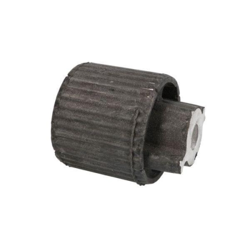 REINHOCH Lagerung, Achskörper RH20-3007