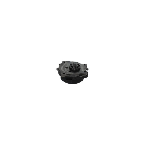 BOSCH Kraftstoffpumpe 0 440 050 007