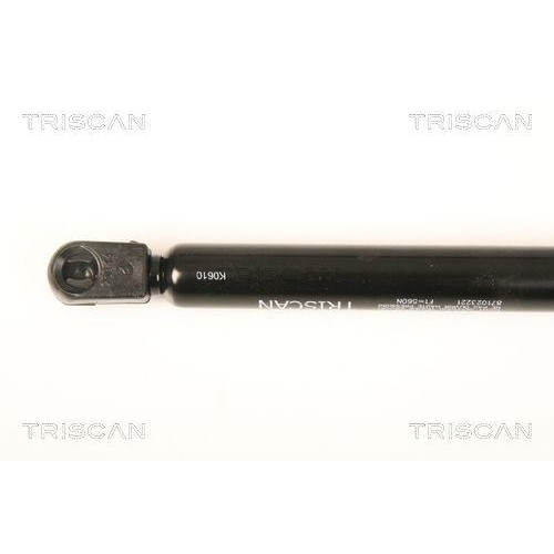 TRISCAN Gasfeder, Koffer-/Laderaum 8710 23221