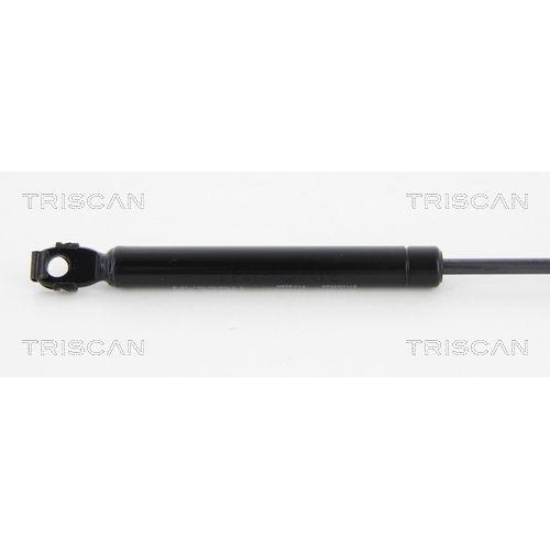 TRISCAN Gasfeder, Koffer-/Laderaum 8710 23228