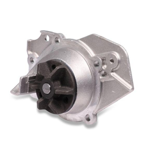 HEPU Wasserpumpe, Motork&uuml;hlung P816