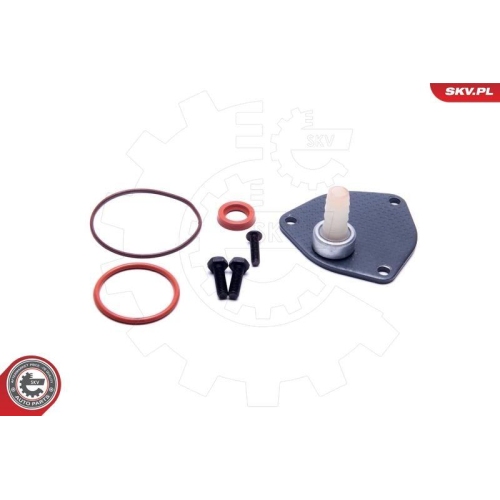 ESEN SKV Reparatursatz, Unterdruckpumpe (Bremsanlage)