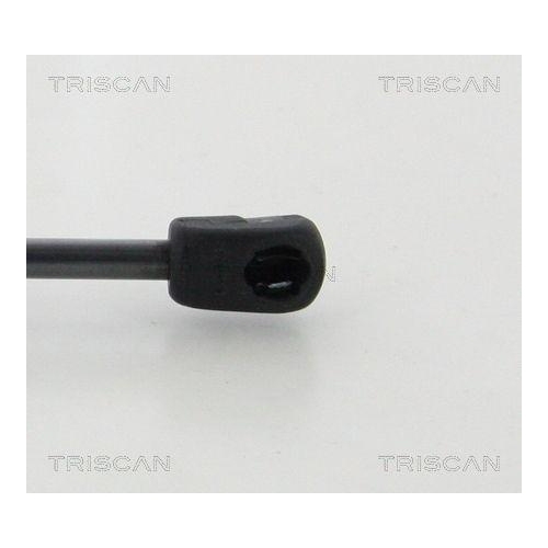 TRISCAN Gasfeder, Koffer-/Laderaum 8710 23247