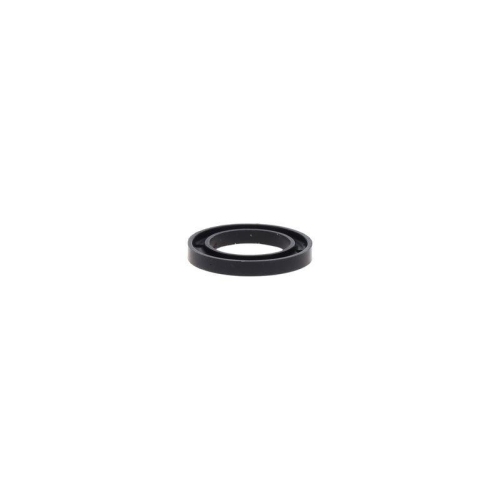 BOSCH Dichtung 2 430 290 002