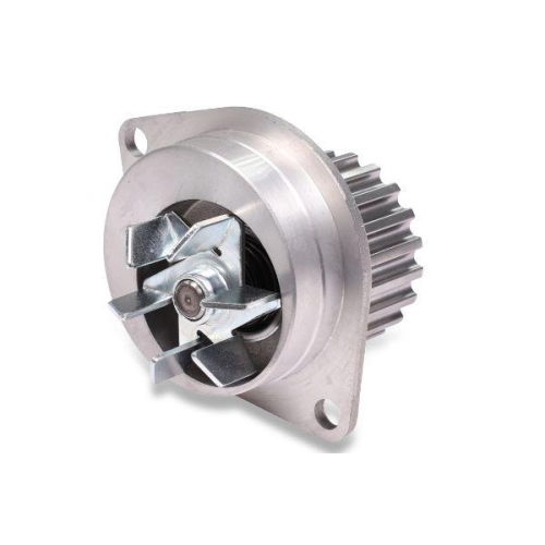 HEPU Wasserpumpe, Motork&uuml;hlung P812